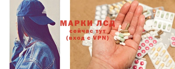 трава Анжеро-Судженск