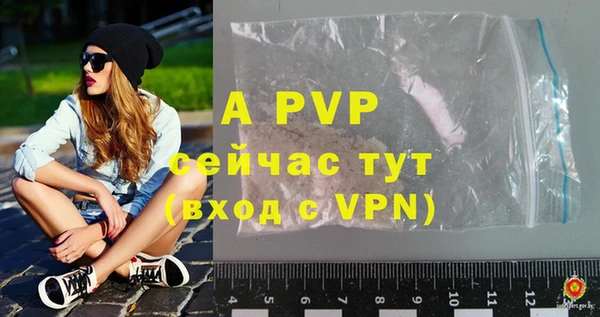 трава Анжеро-Судженск