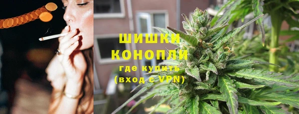 трава Анжеро-Судженск
