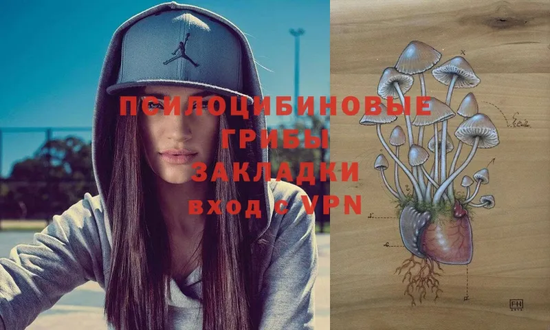 Псилоцибиновые грибы Magic Shrooms  Уссурийск 