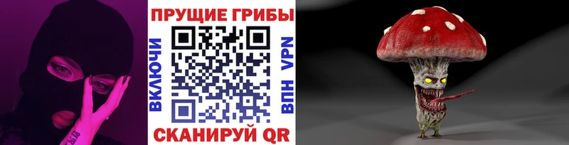 что такое   Уссурийск  Галлюциногенные грибы Psilocybe 