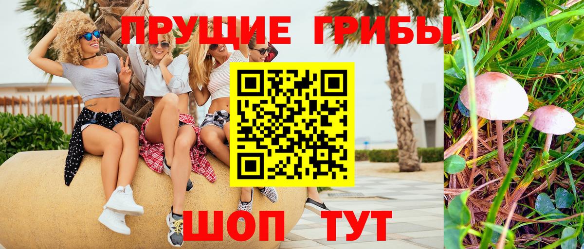 Псилоцибиновые грибы GOLDEN TEACHER  Уссурийск 